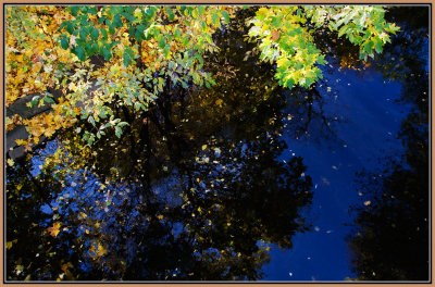 86-Autumn-in-a-Mirror-2.jpg