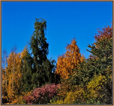 45b-Autumn-in-Oslo-2008.jpg