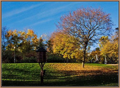 52-Autumn-in-Oslo-2008.jpg