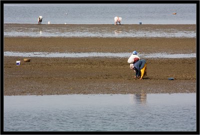 50-Musselpickers-by-Chapora.jpg