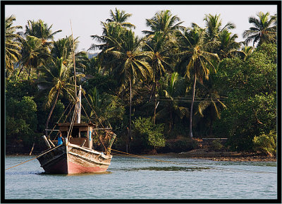 51-A-man-and-his-boat-far-north-in-Goa.jpg
