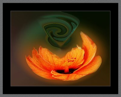 f.o.m.-Sandbox-109-Manipulation-in-Orange-and-Green.jpg