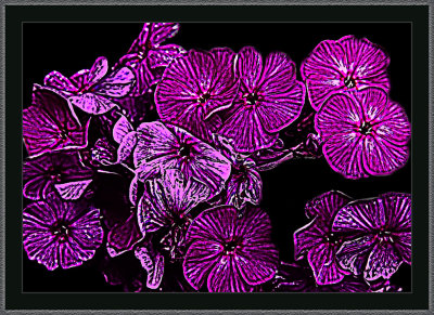 87-IMG_1189-Manipulated.jpg