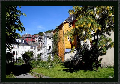 35-Bergen-IMG_4817.jpg
