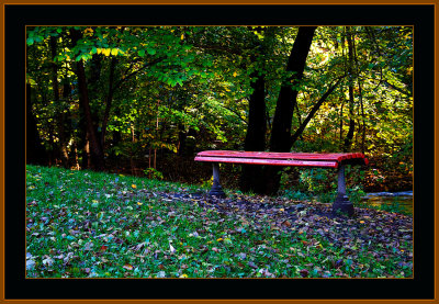 79-Autumn-2010-IMG_4920.jpg