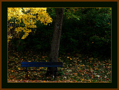 81-Autumn-2010-IMG_4971.jpg