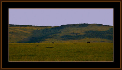21-=-IMG_2545-=-Landscape-Masai-Mara.jpg