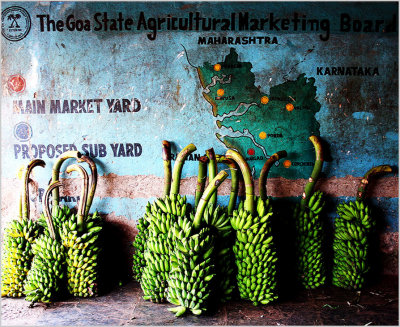 5 Lets-go-bananas-in-Goa.jpg