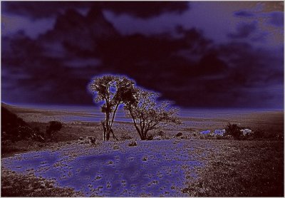 44-Kenyan-landscape-2a.jpg