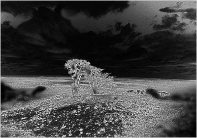 46-Kenyan-landscape-2c.jpg