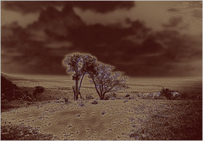 47-Kenyan-landscape-2d.jpg