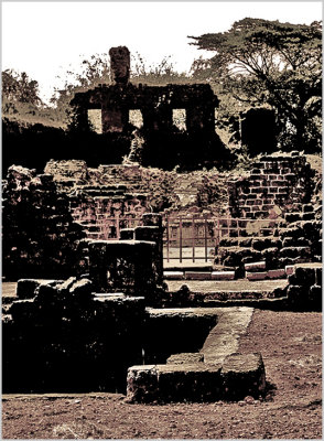 110-Ruins-after-an-Abbey-in-Old-Goa-5.jpg