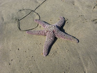 WICKANNINISH BEACH