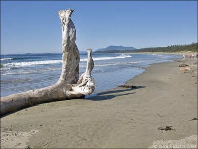 WICKANNINISH BEACH