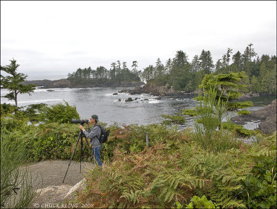 WILD PACIFIC TRAIL / UCLUELET