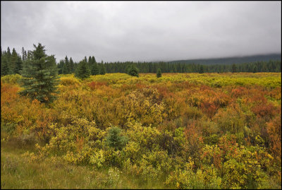 ALBERTA 2010