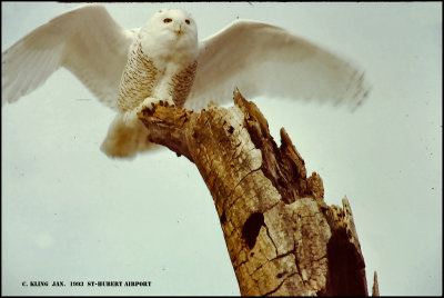PICT0002.jpg-800