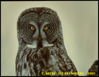PICT0007.jpg-800