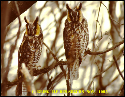 PICT0009.jpg-800