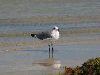 Waiting on the Tide