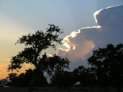 Approaching Storm