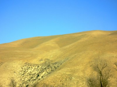 fort tejon