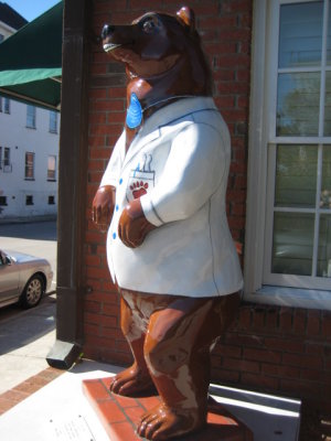 Bear 22.JPG