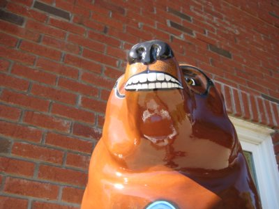 Bear 23.JPG
