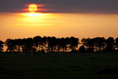 Katy Prarie Sunset