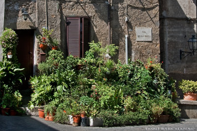 Medieval city, Ronciglione