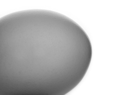 The Egg 5011.JPG