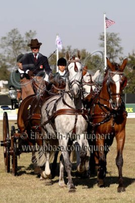 g1/16/942816/3/129410011.qAA8bR8P.jpg