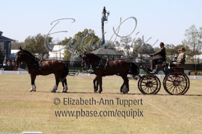 g1/16/942816/3/129517988.R40nyZHA.jpg