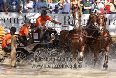 g1/16/942816/3/129534369.0OzOpX8T.jpg