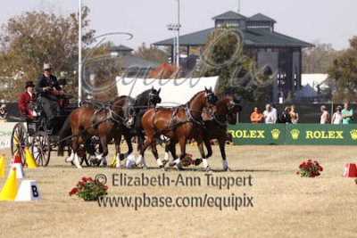 g1/16/942816/3/129631990.QCaPZhUT.jpg