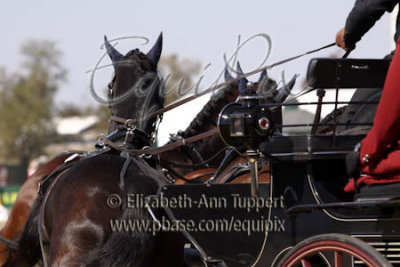 g1/16/942816/3/129632031.axXC2y7r.jpg