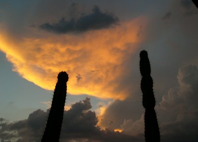 Arizona 2.jpg