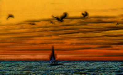 Sailing at sunset.jpg