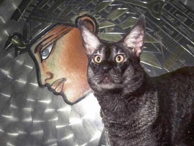 Bunga with Egyptian Art