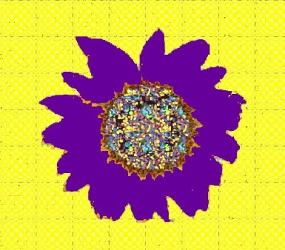 Sunflower done with different patterns