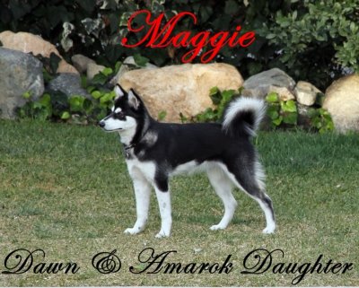 Maggie in CA