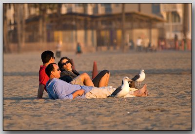 Santa Monica Evening