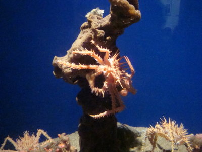 g1/17/104817/3/127447687.5aaCIMFG.jpg