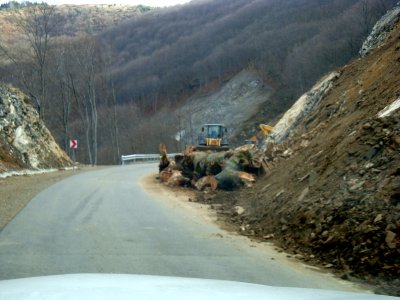 sDSC01295.JPG
