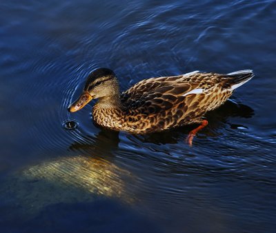 g1/17/118917/3/128092125.ePnG5KYN.jpg