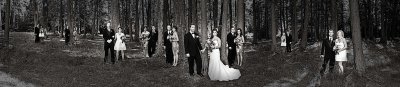 wedding panorama.jpg