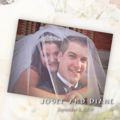Josef and Diane's Wedding Album