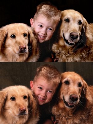 dogs and boy.jpg