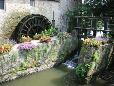BayeauFloral.jpg