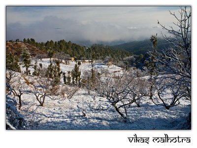 Winter Scene 02
